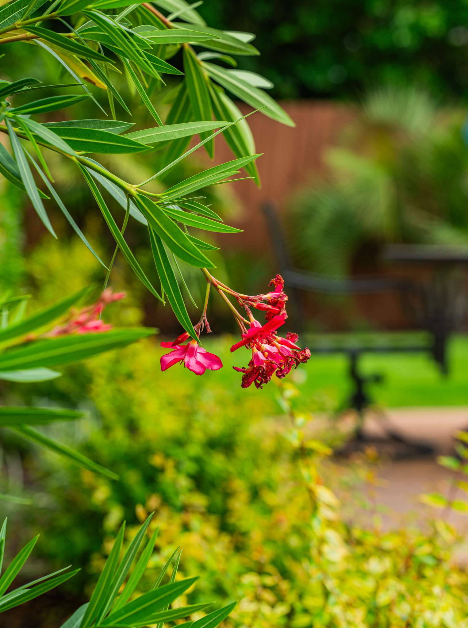 Southwestern Serenity: Rethinking the Front Yard by Complete Exterior Solutions