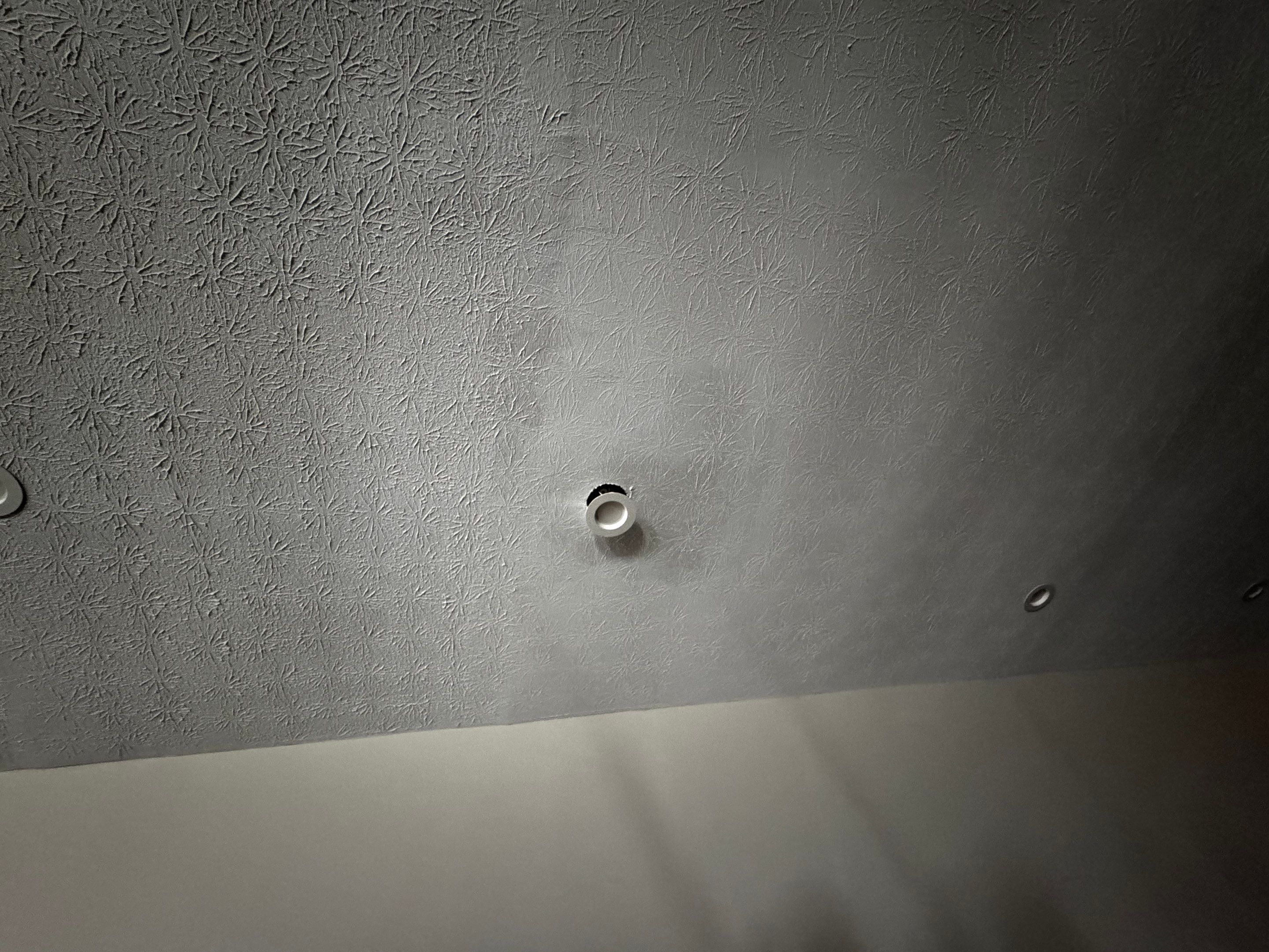 Interior Ceiling Repair in Social Circle by Praise God Painting, LLC