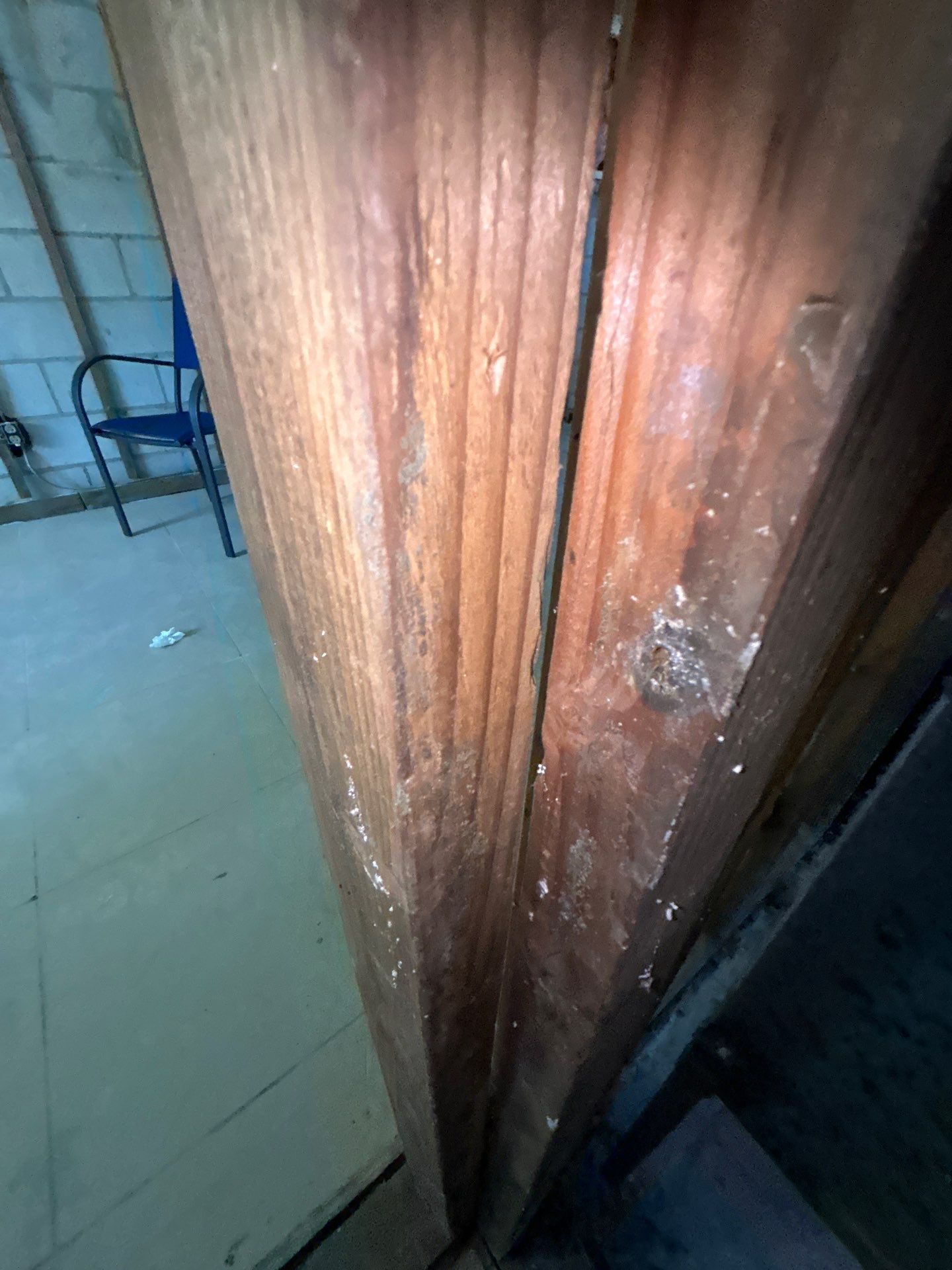 Tampa Mold Removal by Ampm Restoration Services