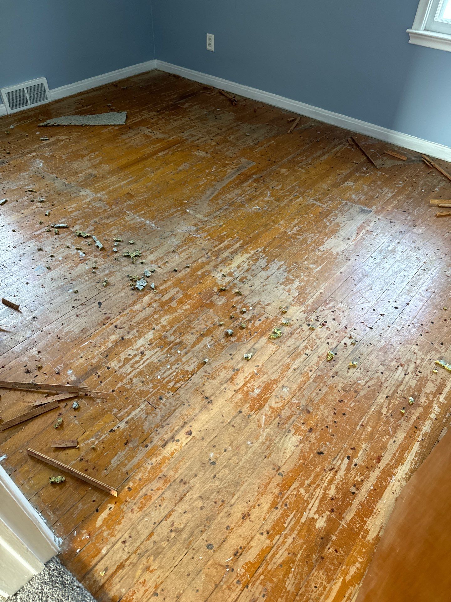 Hardwood flooring sanding using 2 1/4" Red oak flooring Golden Oak Stain by Ann Arbor Hardwoods