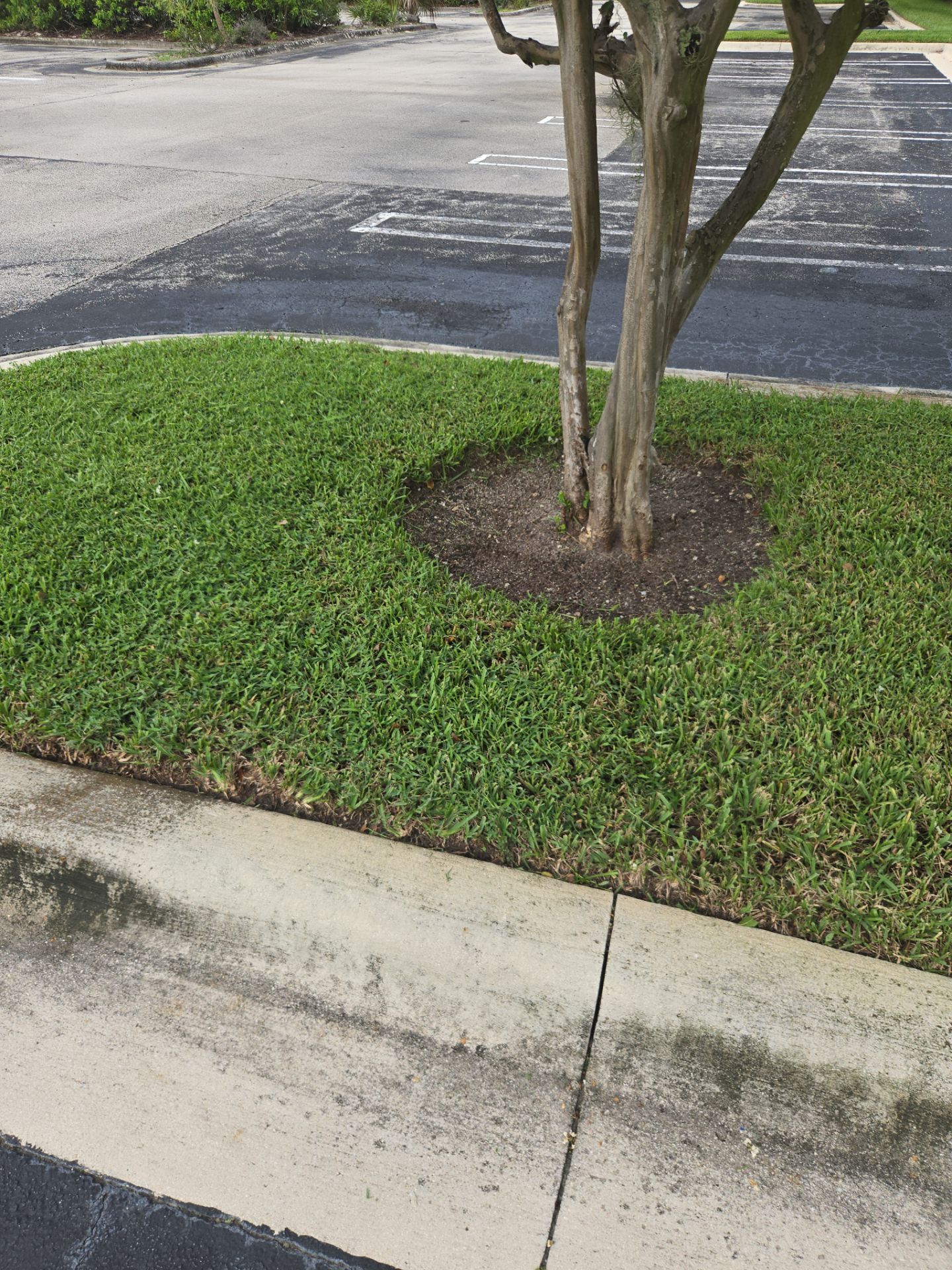 🛏️ City Mattress Refresh — Jensen Beach by Alpha Zeta Enterprises Inc