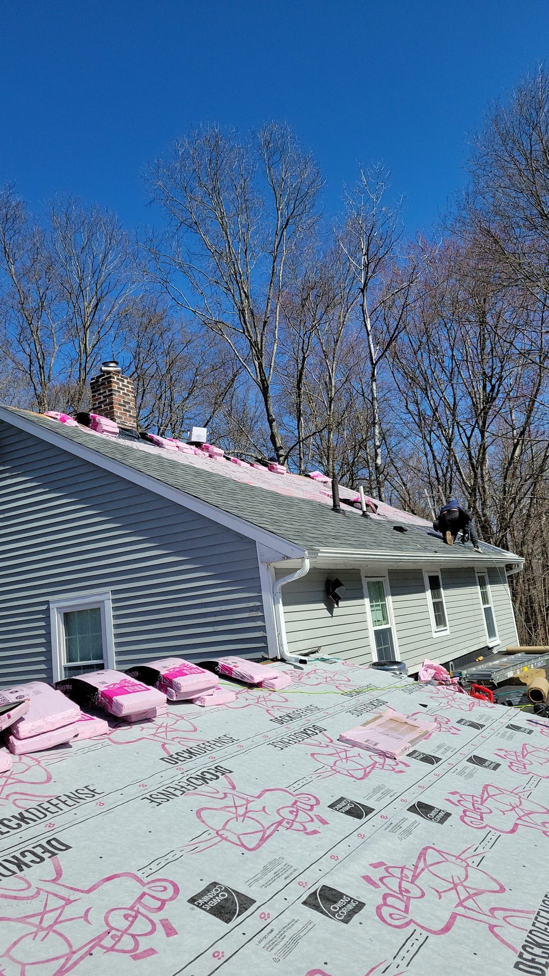 Roofing & Windows | Littleton by Mighty Dog Roofing of Greater Middlesex County