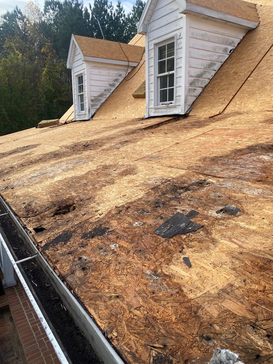 Project in Creedmoor - Certainteed Landmark Silver Birch by Pro Performance Roofing