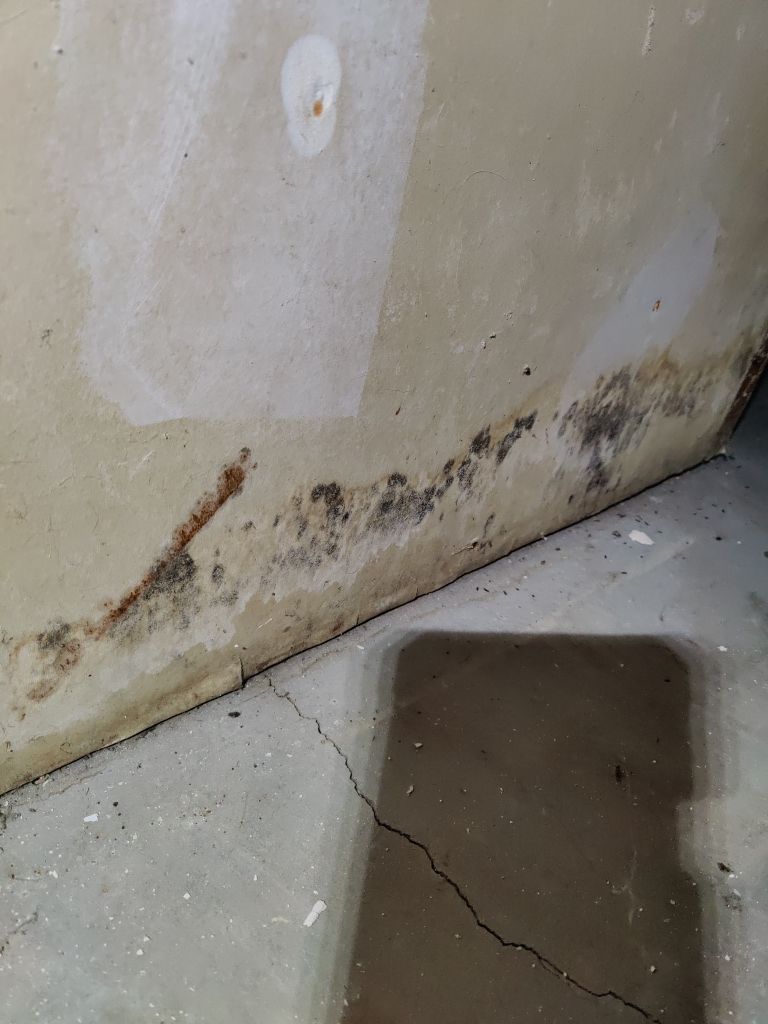 Water Damage Project in Denver by Accountable Home Services
