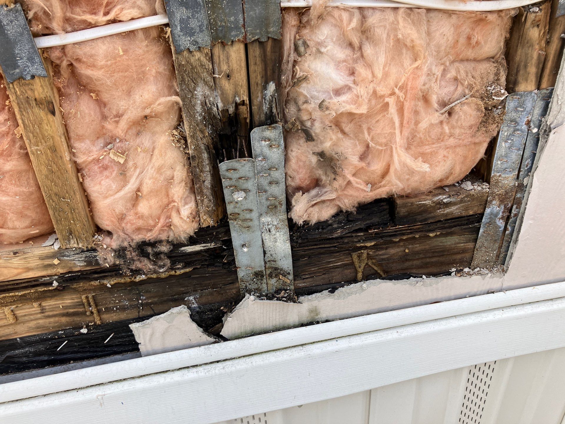 Trailer Park Treasure! by Bayfront Roofing and Construction