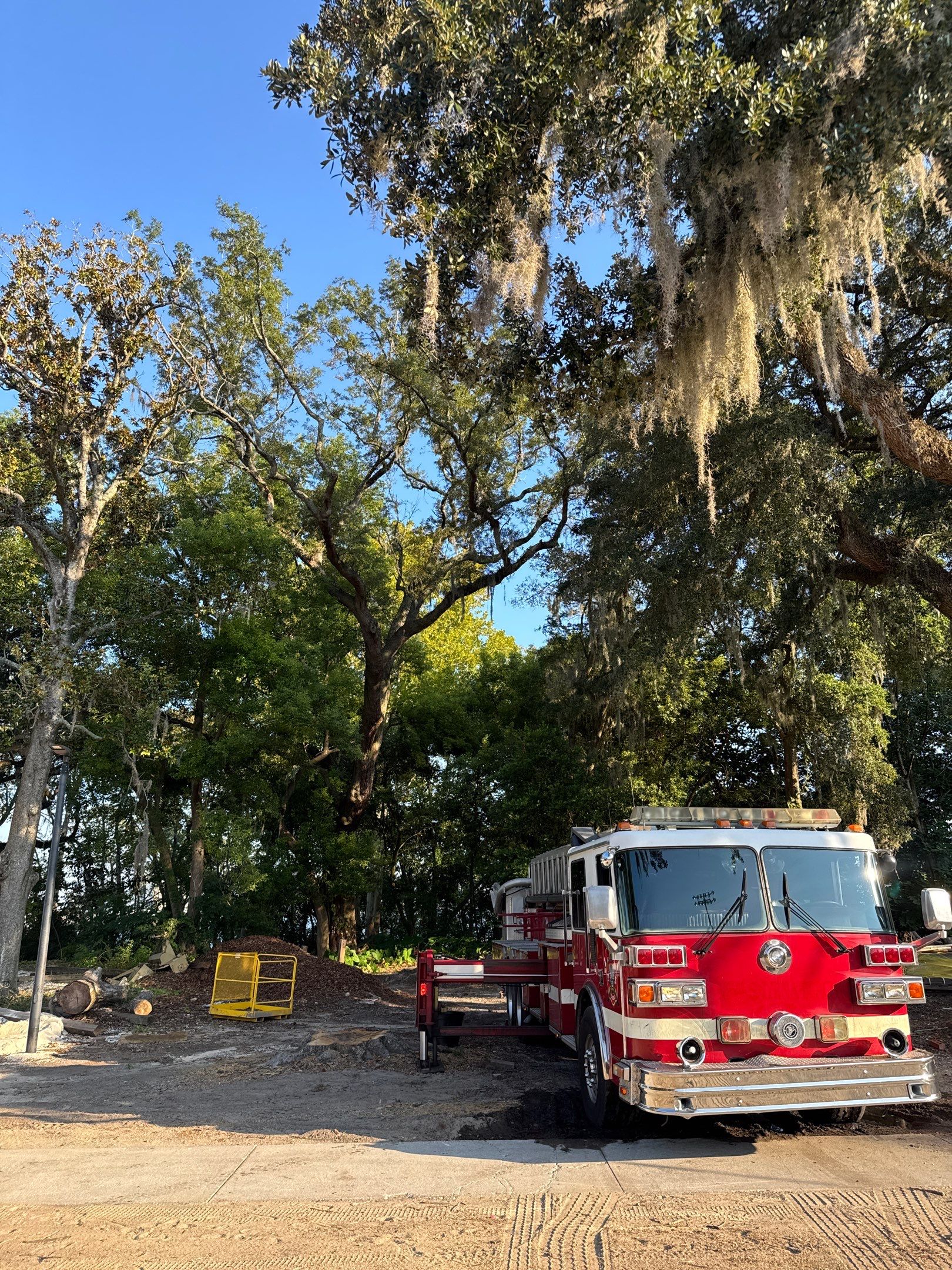 Tree Removal | Episcopal Softball Field by ProGreen Services