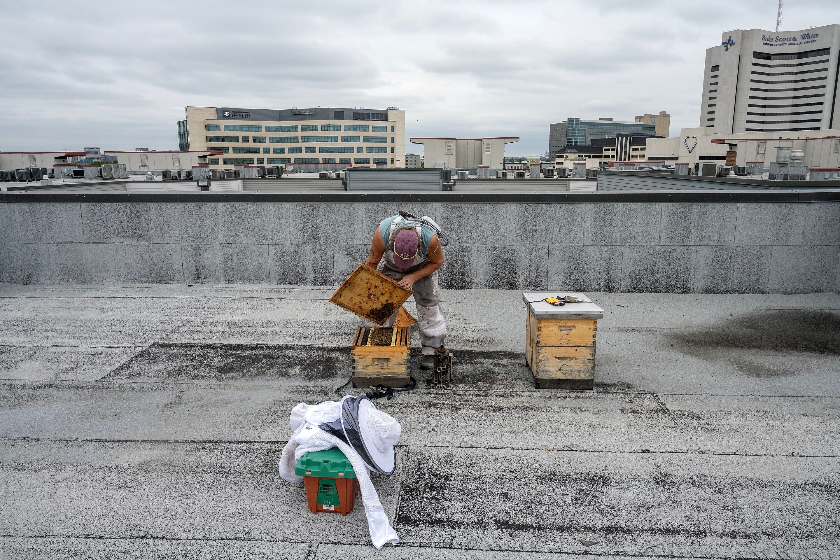 Urban Beekeeping in Dallas by Rockwall Honey Bee Company