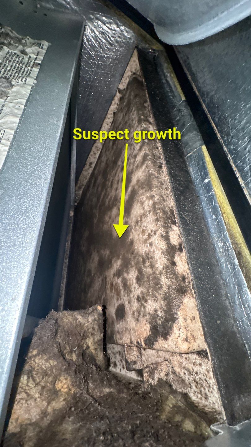 Air Duct and Dryer Vent Cleaning in Orlando by Hygienic Air, Inc