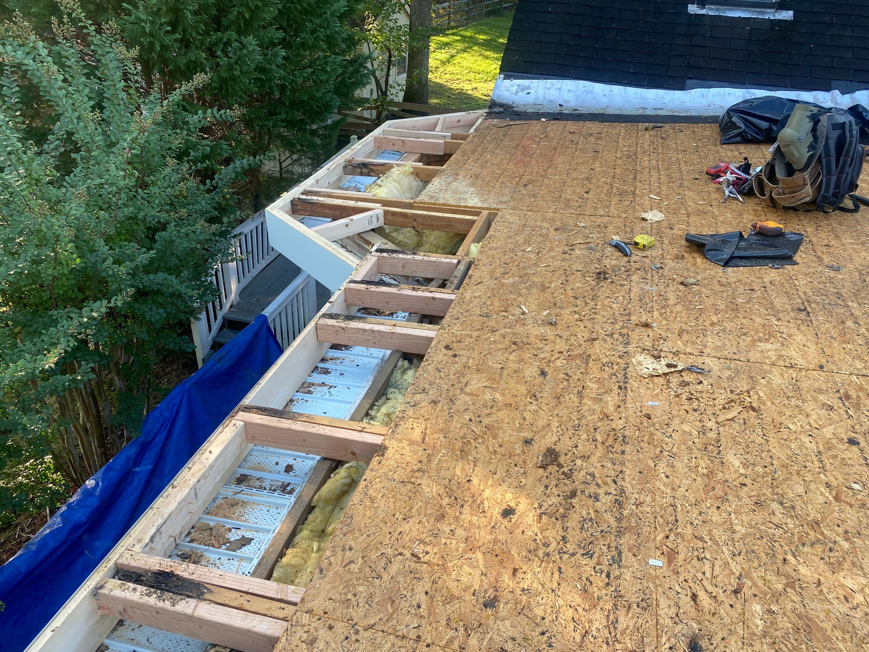 Alexandria: Residential Flat Roof Replacement with MuleHide TPO by RM Banning, Inc.
