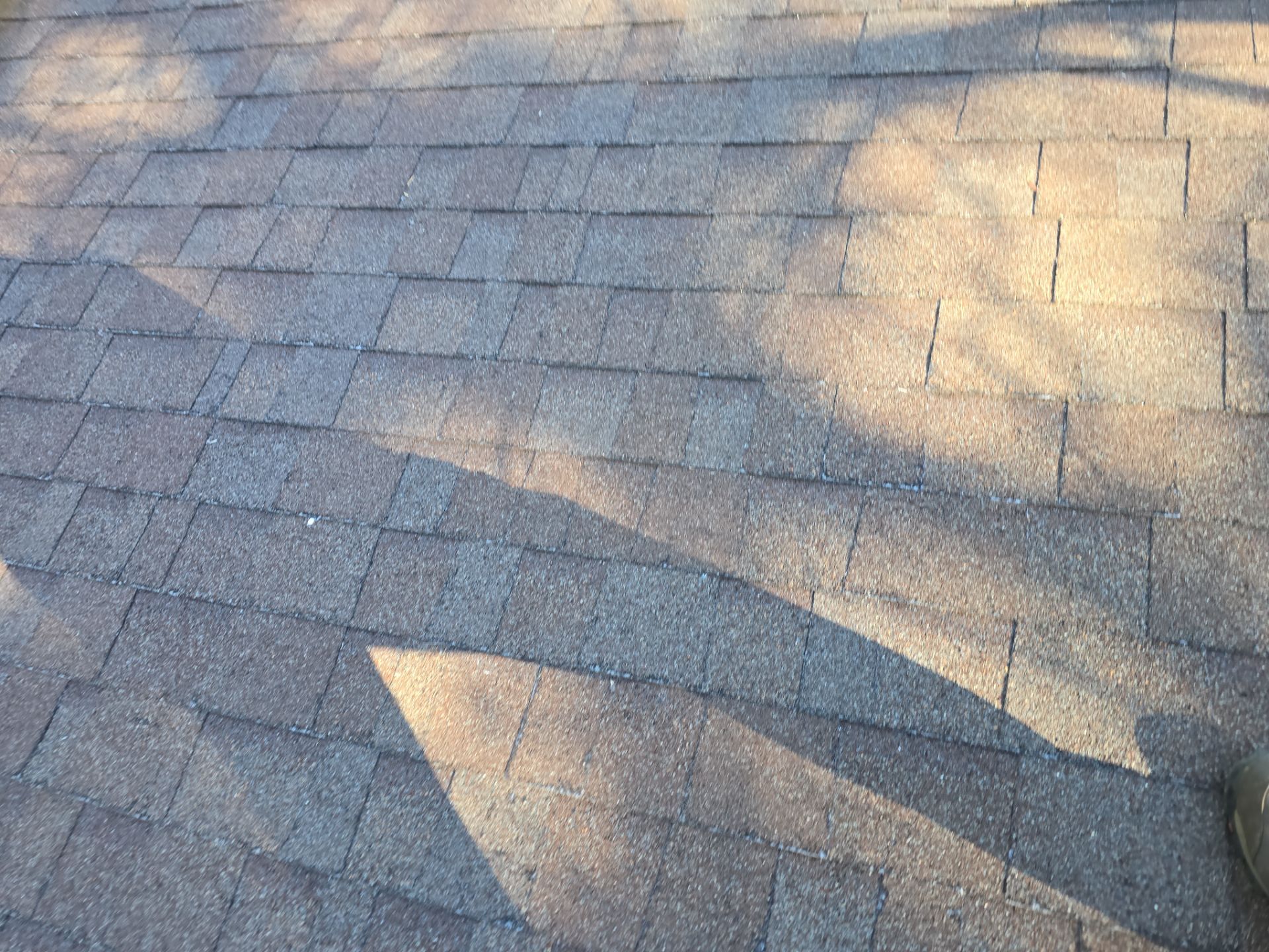Roof Rejuvenation using Roof Maxx Treatment by Roof Maxx of Folsom