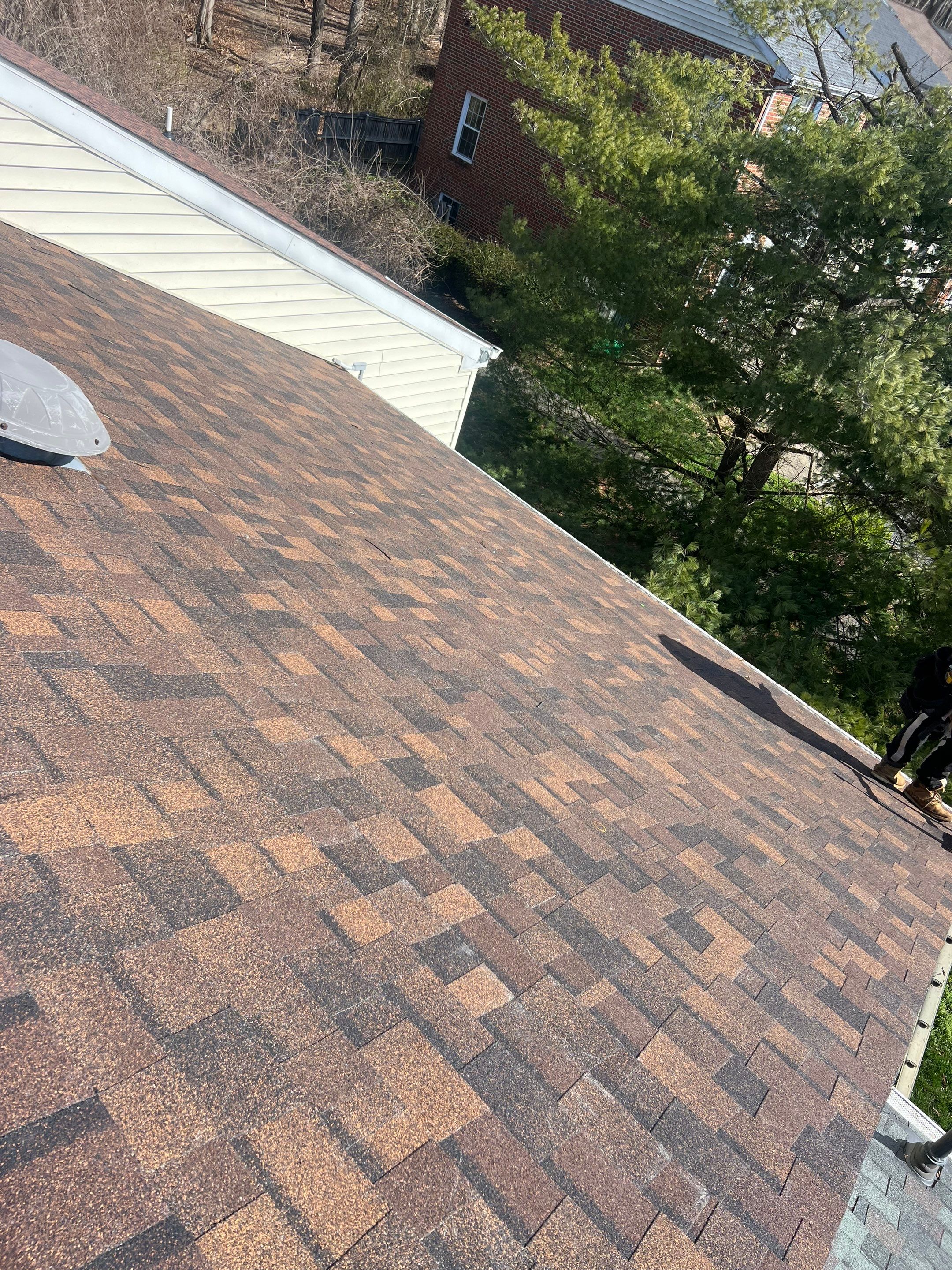 Autumn Brown Shingles by Reimagine Roofing