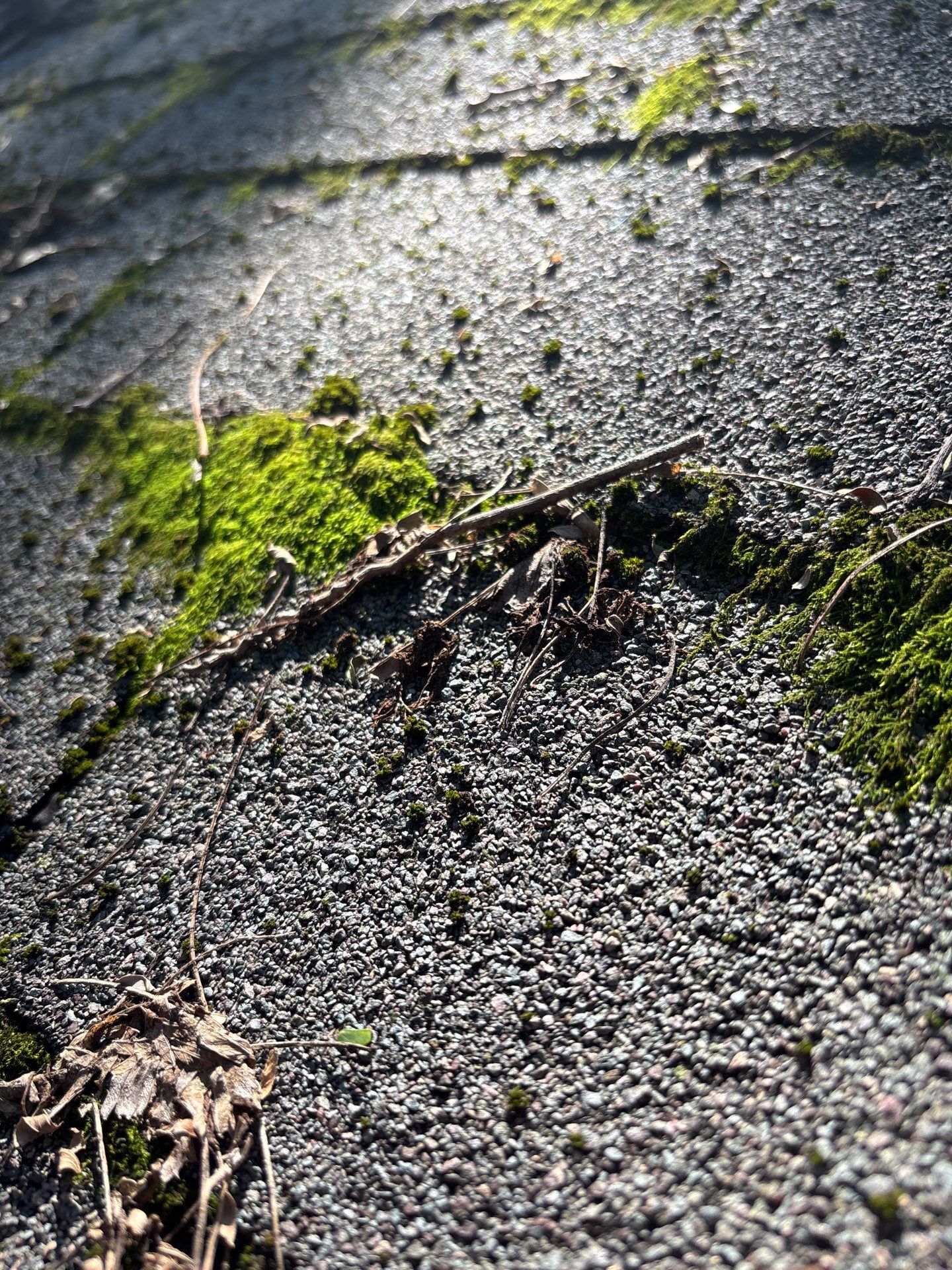 Project in Richmond by Roof Maxx of Midlothian