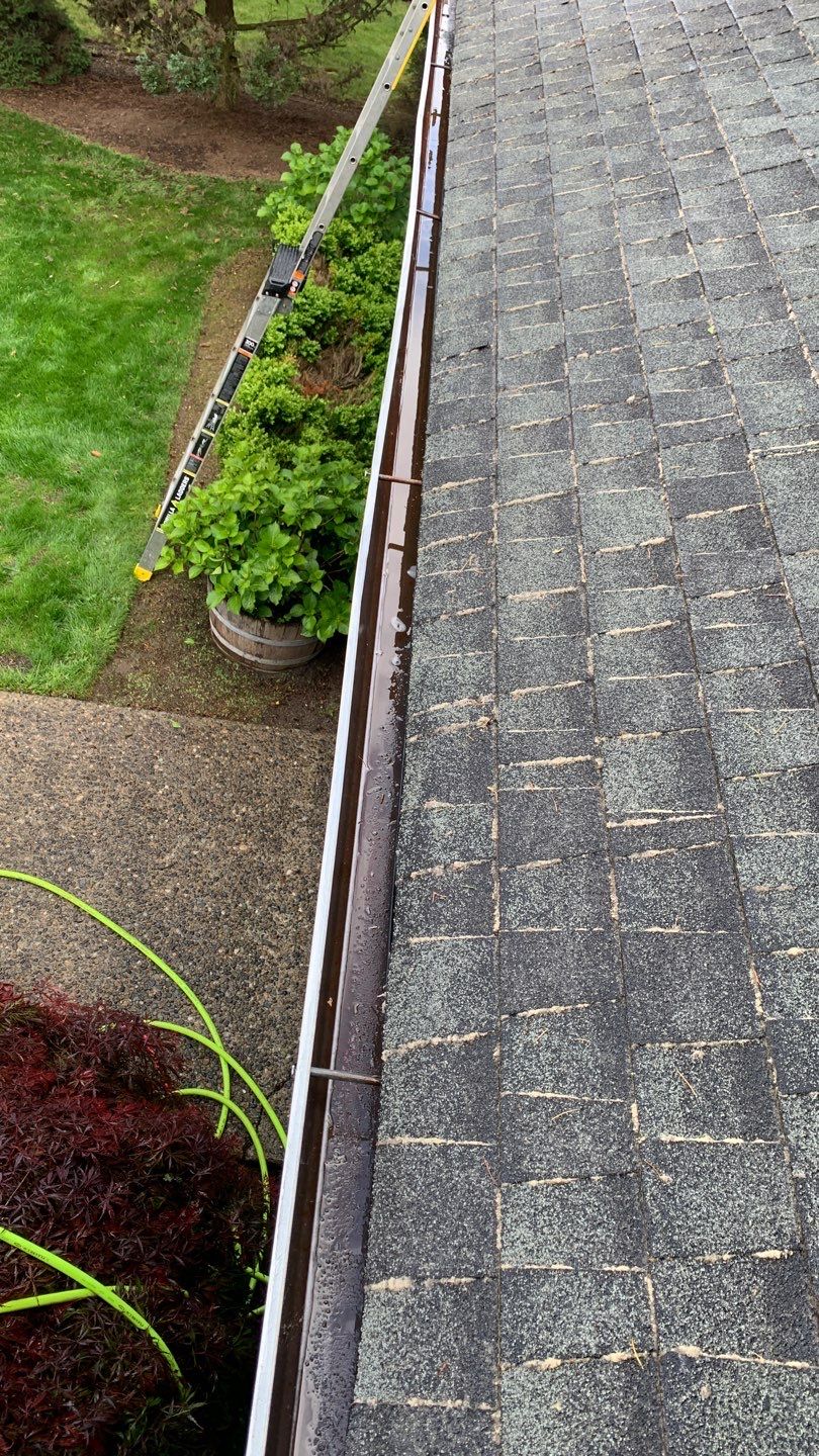 Softwashed in many Years back, and organic regrowth significant by DawnSky LLC