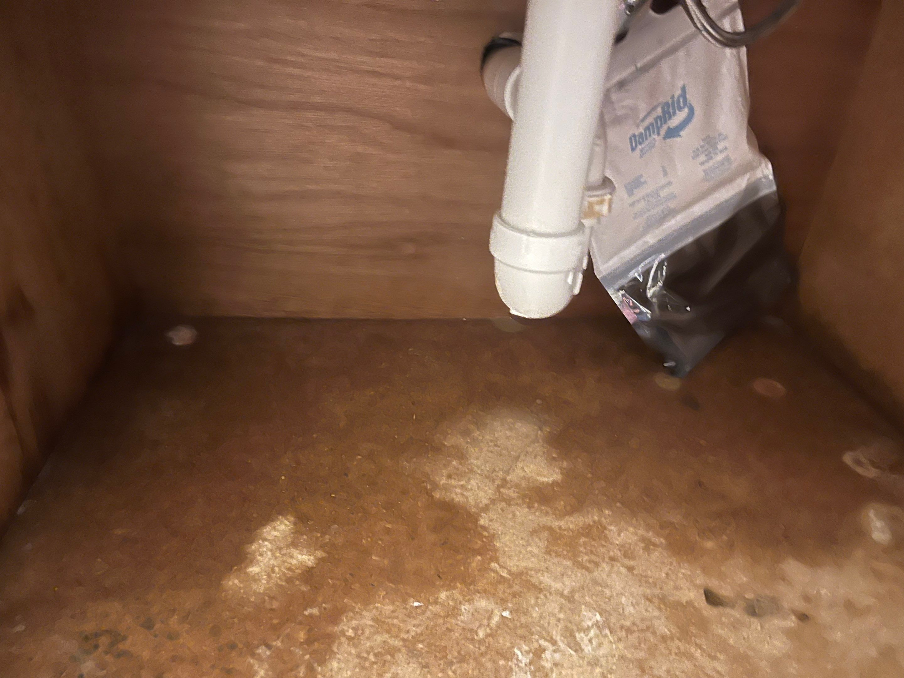 EMS Water Extraction in Louisville, KY by ANR Restoration