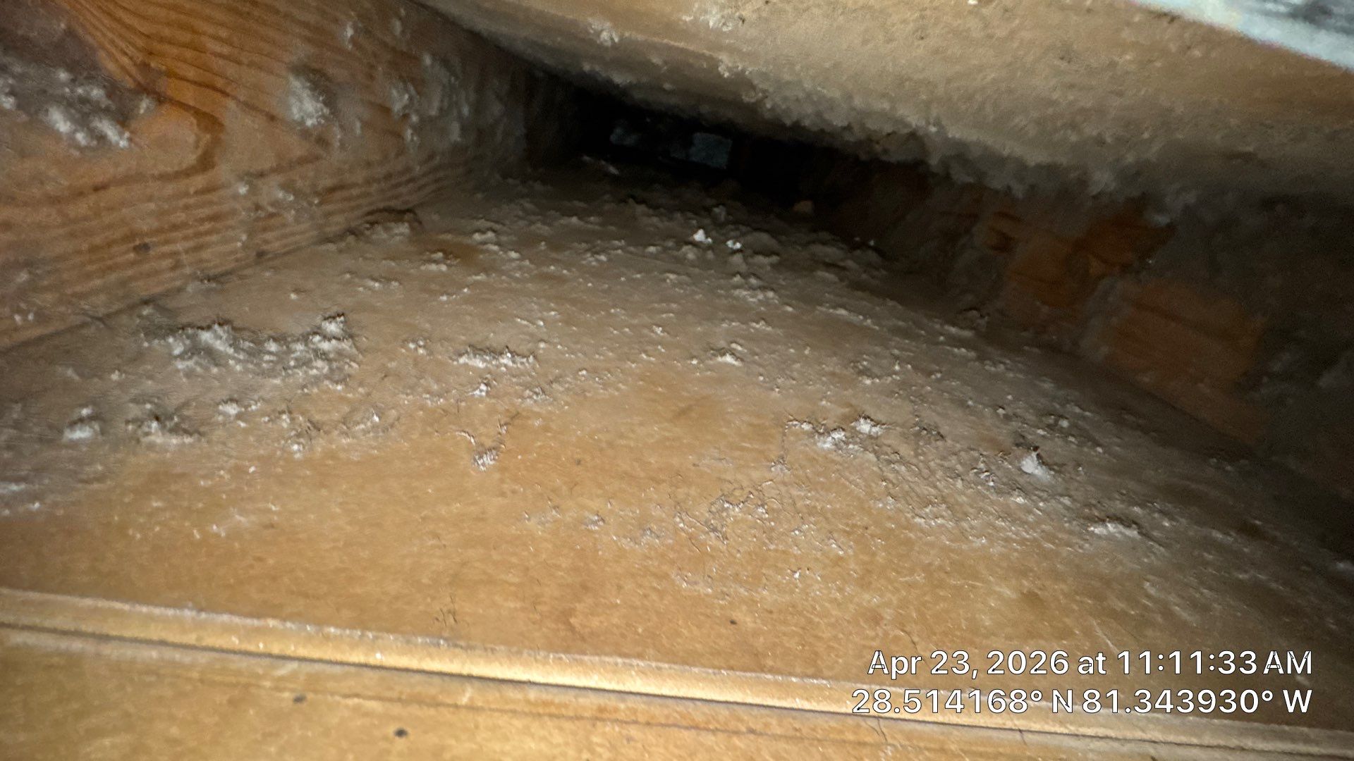 Air Duct Cleaning in Orlando by Hygienic Air, Inc
