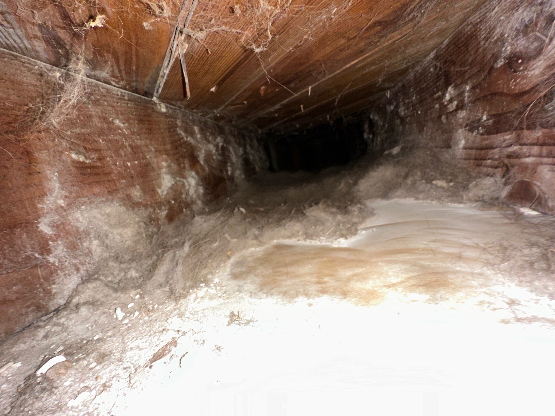 HVAC Duct Cleaning and Debris Extraction by Fox Hill Luxury Real Estate Services