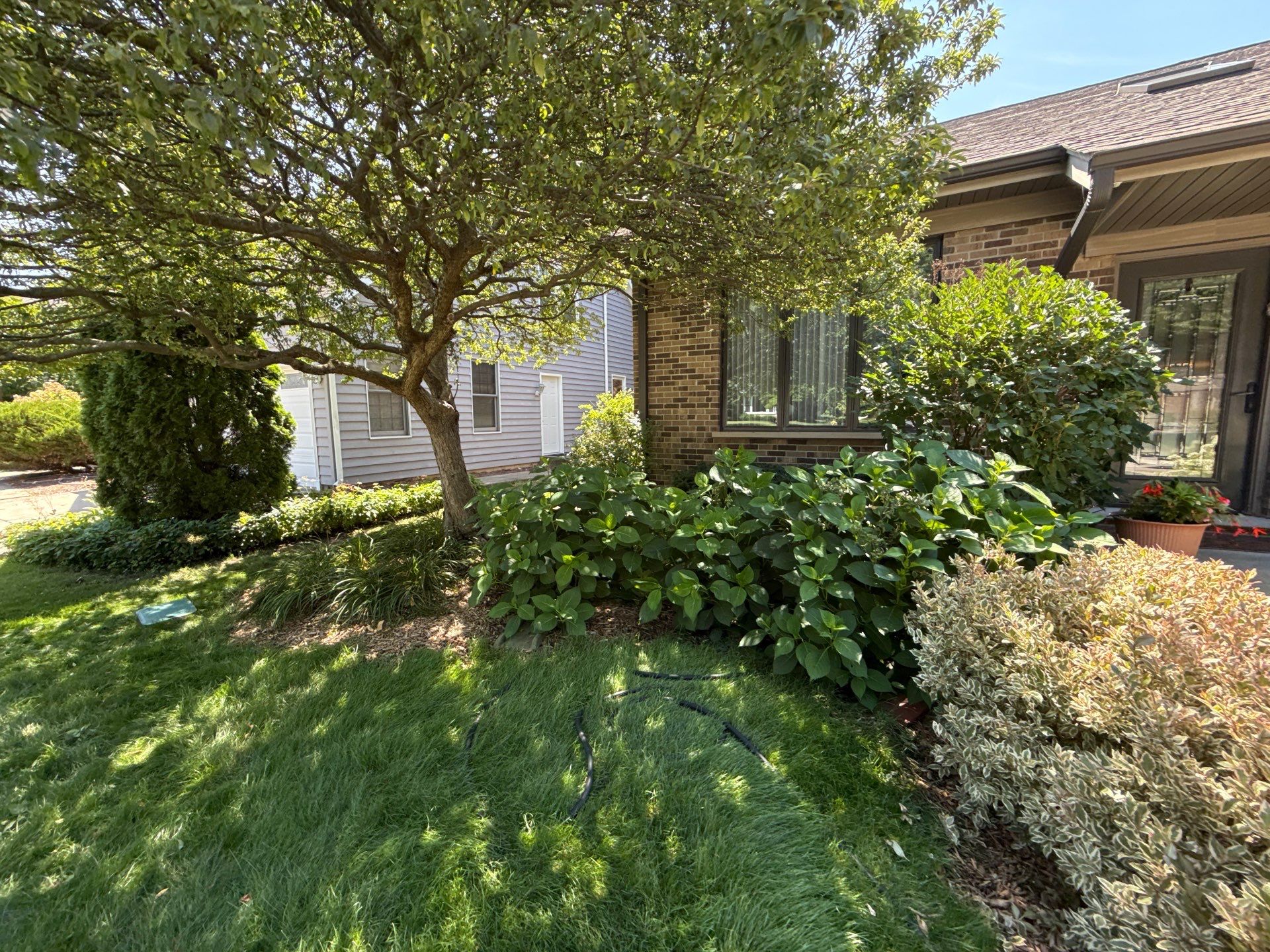 John K. - Arlington Heights, IL by A&N 