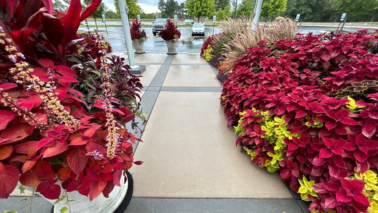 Commercial Concrete Surface Cleaning by Northern Power Washing LLC.