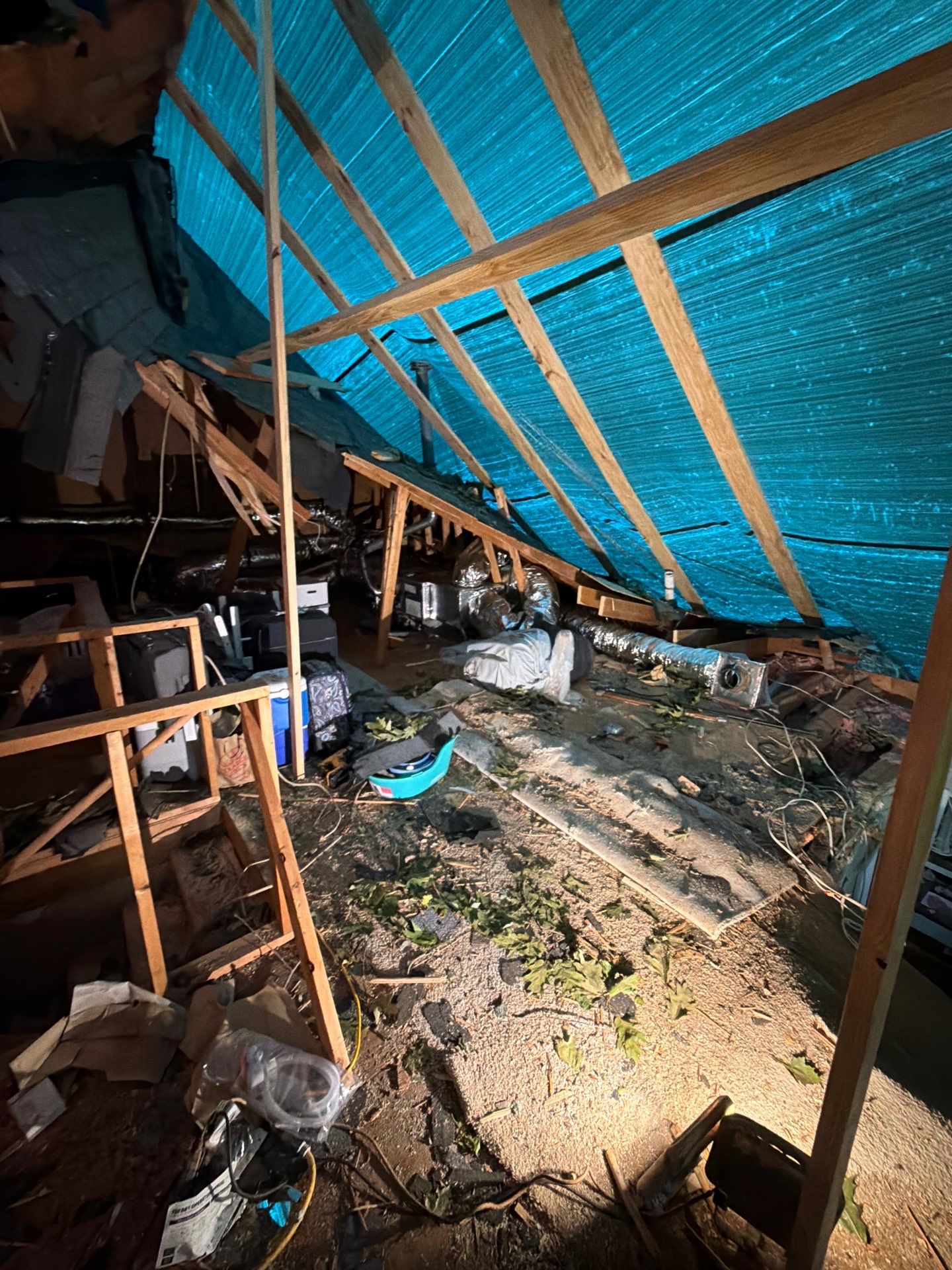 Storm Damage Mitigation and Structural Drying After Tree Impact in Raleigh by One Team Restoration