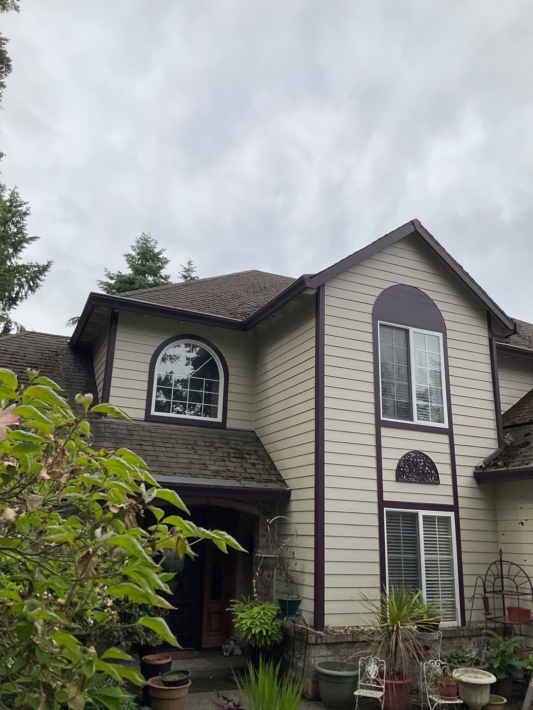 Moss Treatment using Biocide by Willamette Outdoor Wash LLC