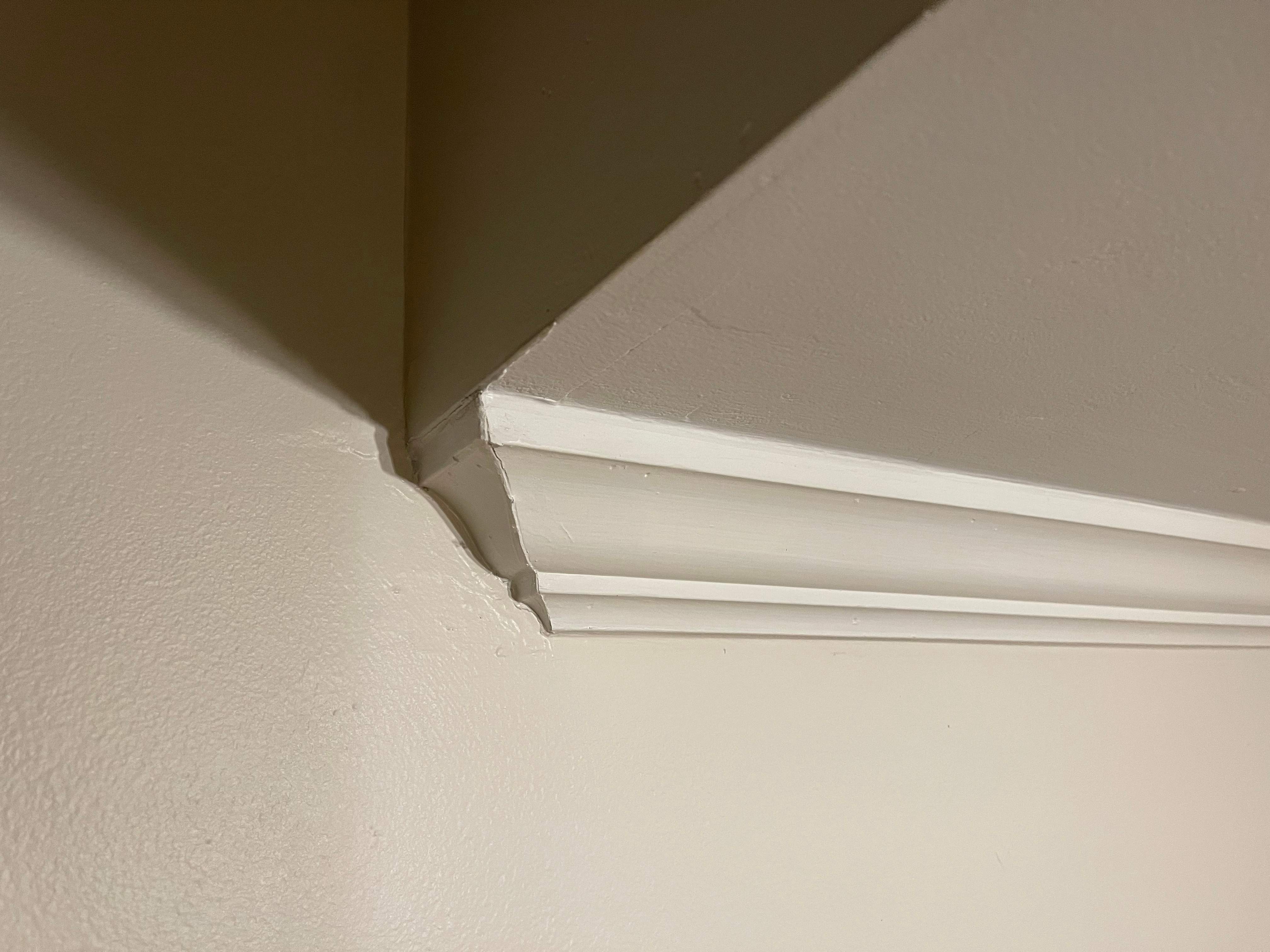 Russet Woods Foyer by Pillar and Pine