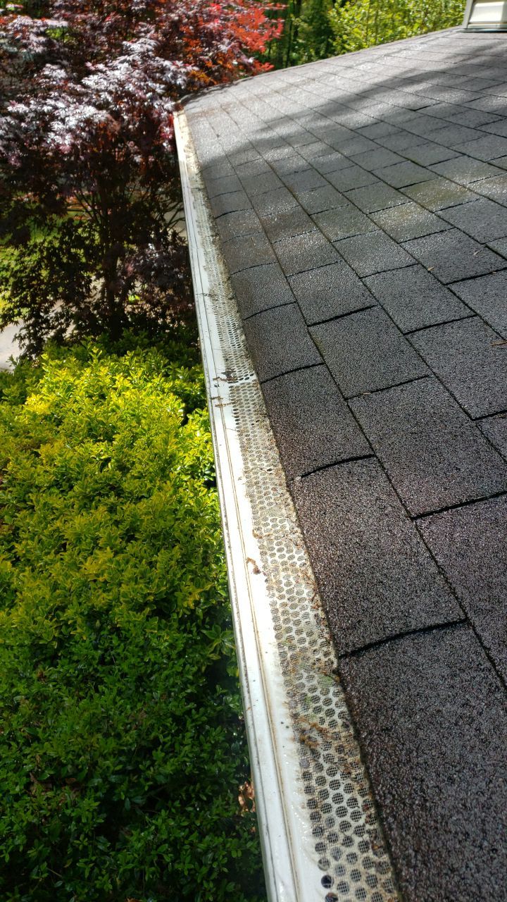 House Wash using cleaner by G&H Home Tech Pros LLC