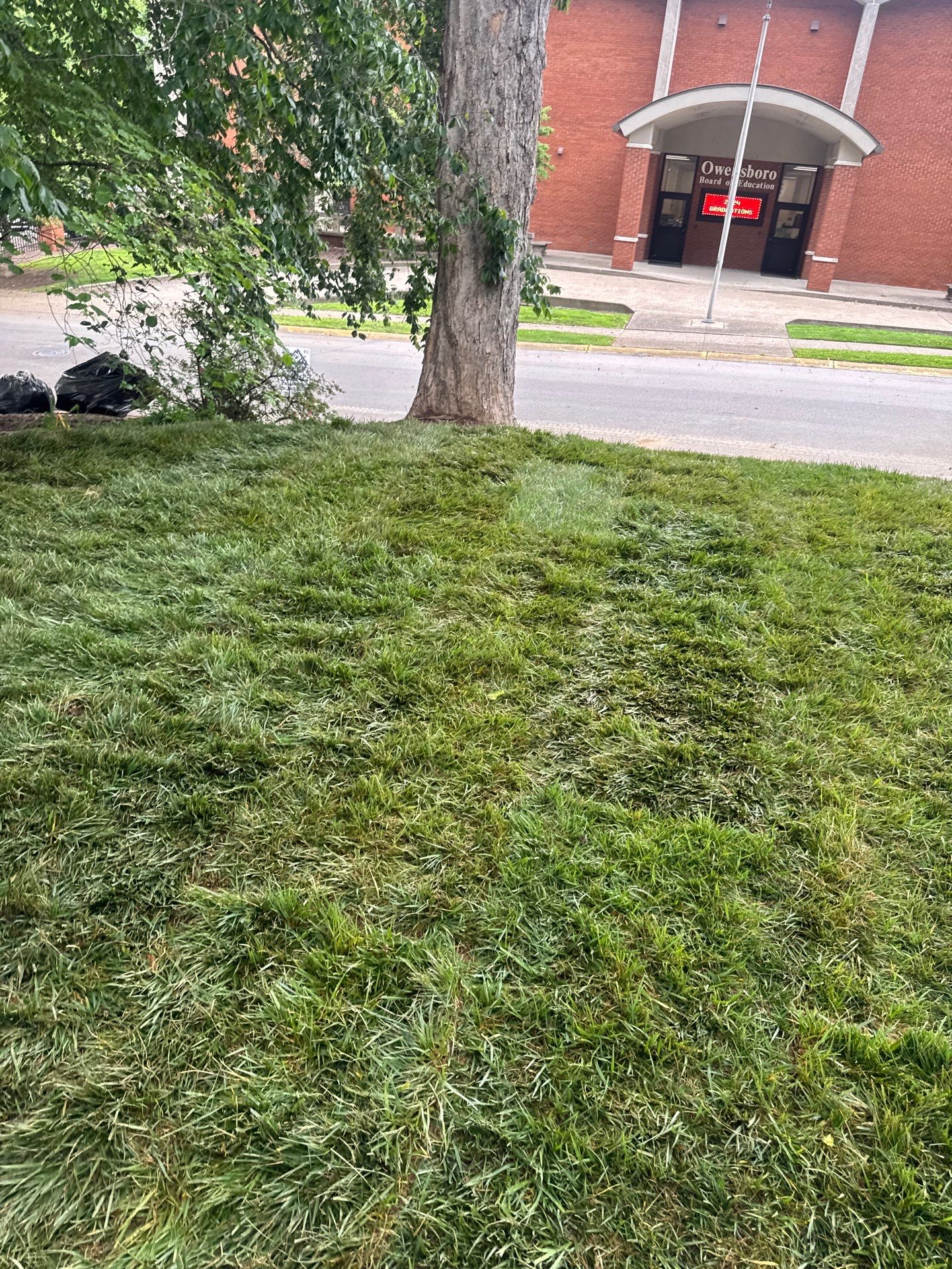 Sod Installation by Perfection Lawn & Landscape