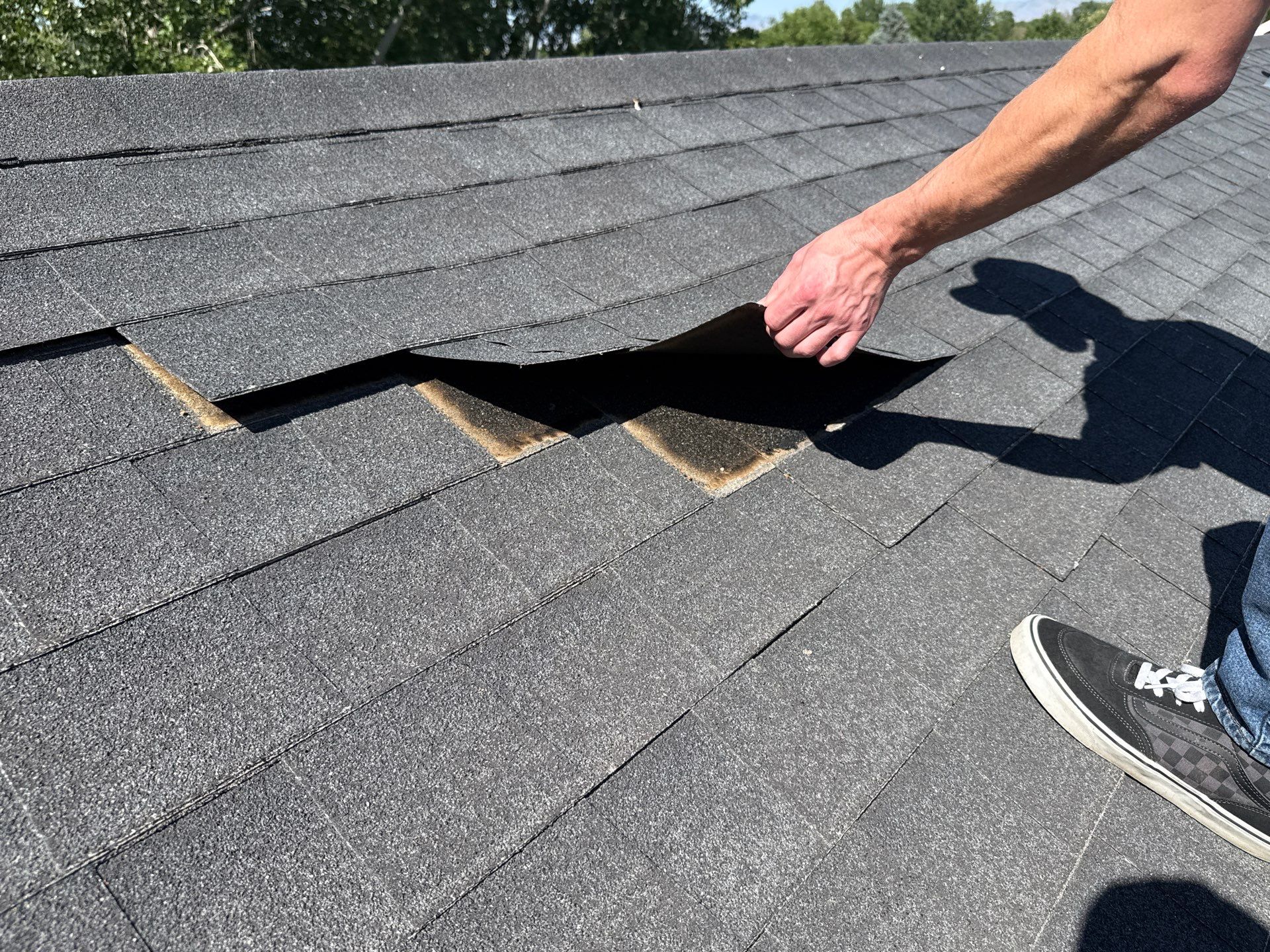 Residential Roof Replacement and Sheathing Repair in Boise by Olive Roofing