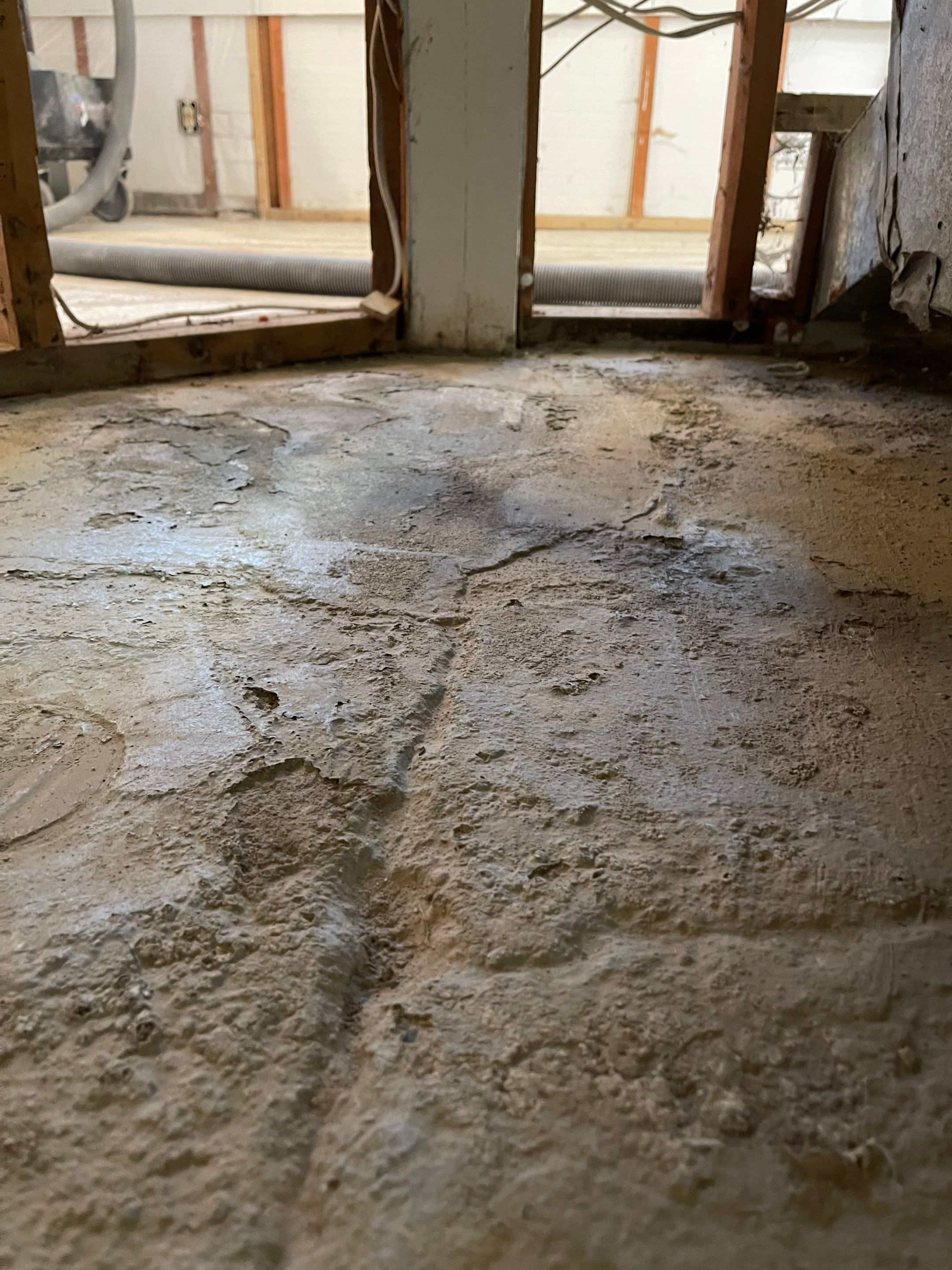 Basement using Mount Everest by Select Painting, Coatings & Garage Cabinets
