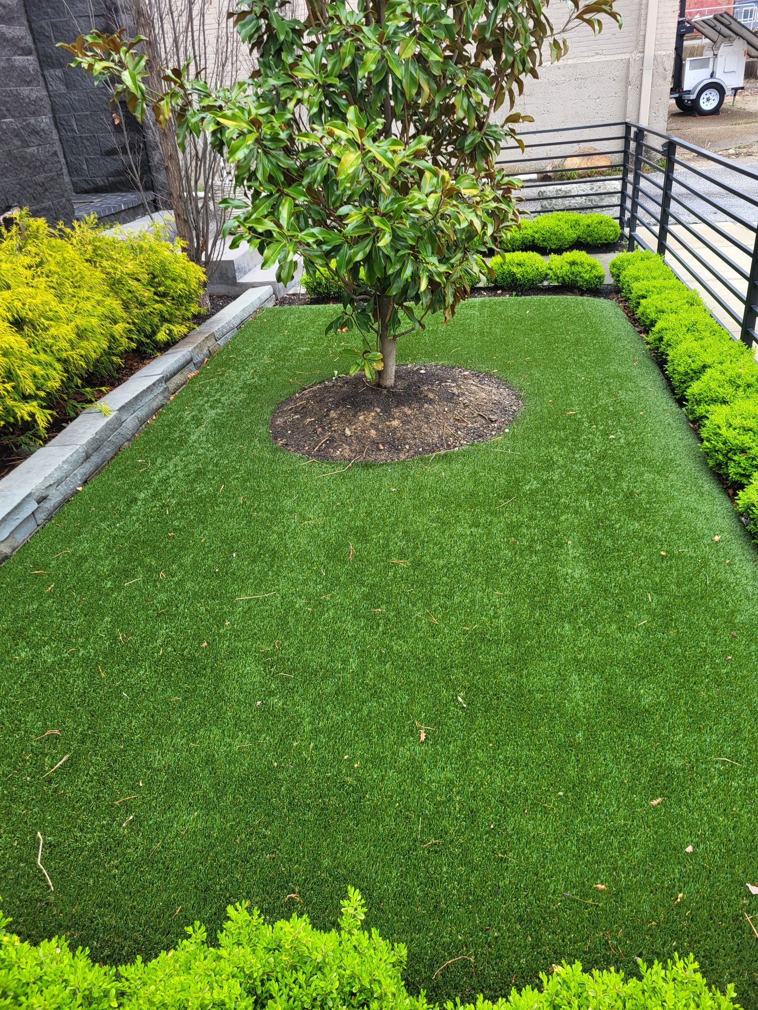 Full turf yard in Columbus, OH by Southwest Greens Midwest