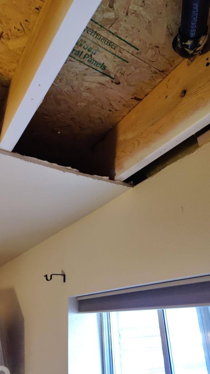 Water Damage and Mold Remediation by Accountable Home Services