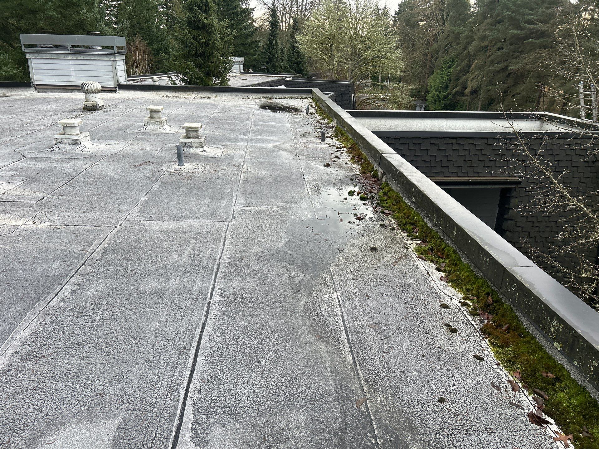 Project in Kirkland by Connolly Construction Company