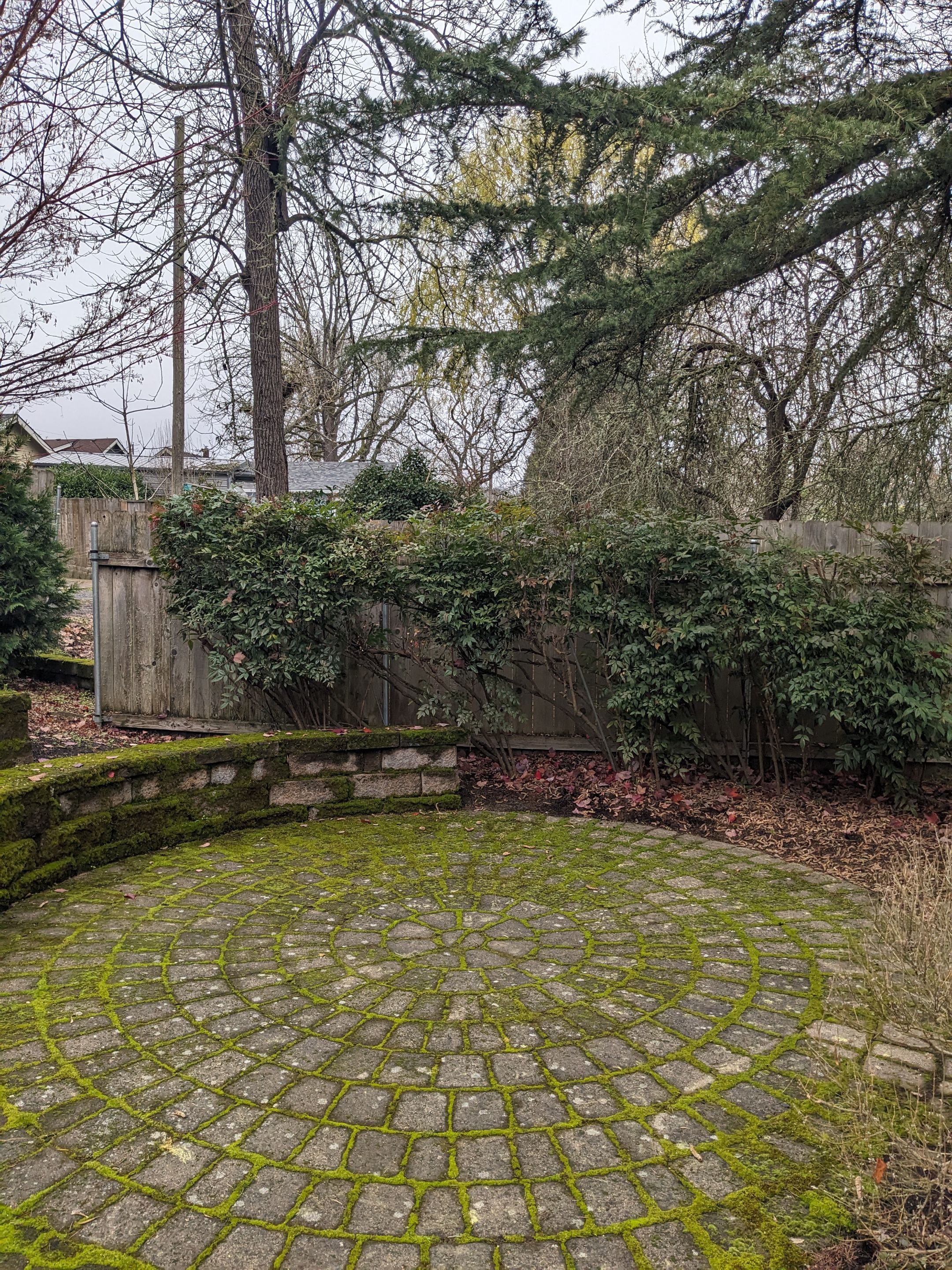 Landscaping Using Shrubs by CompanyCam Help Articles Test