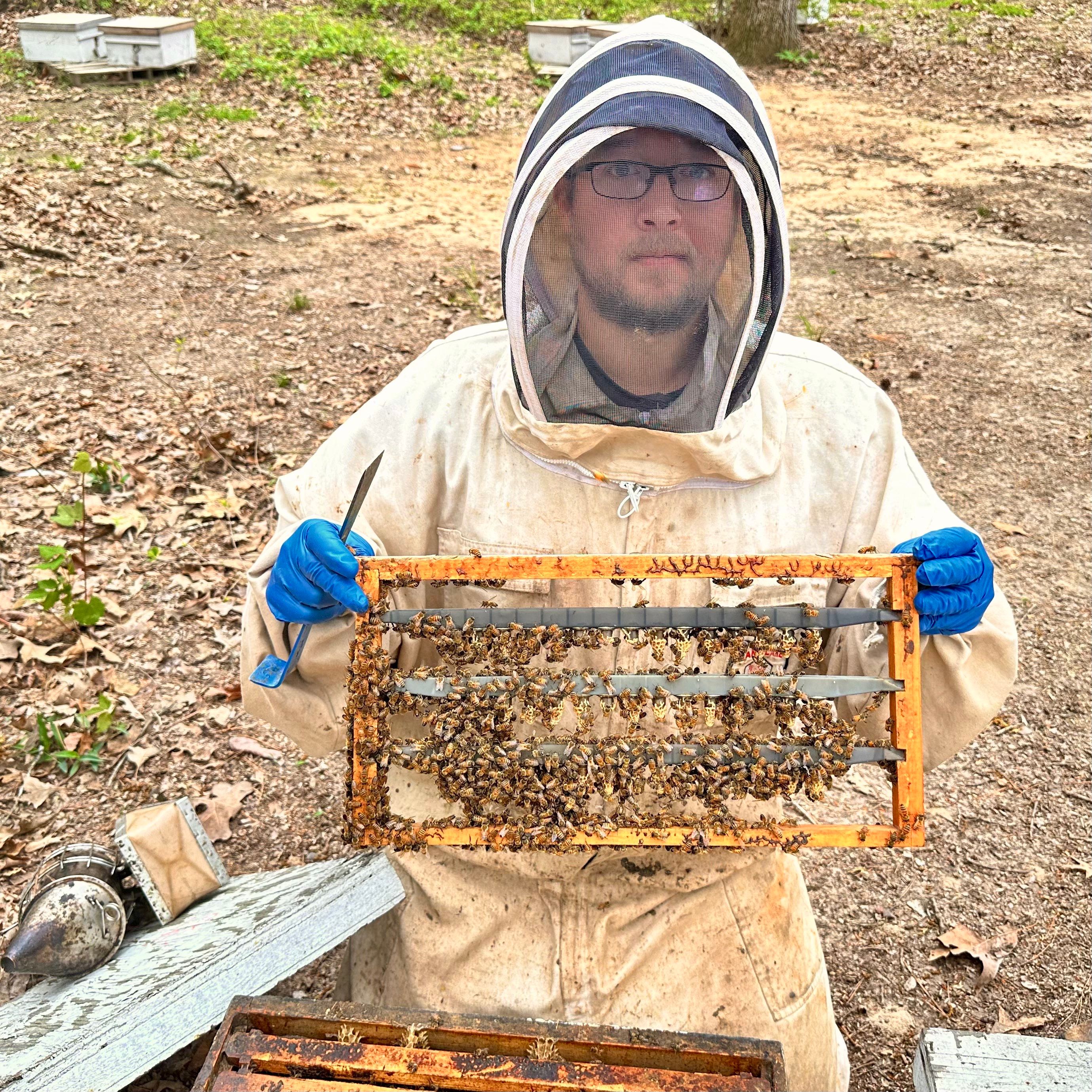 BeeGirl ETX HQ by Rockwall Honey Bee Company