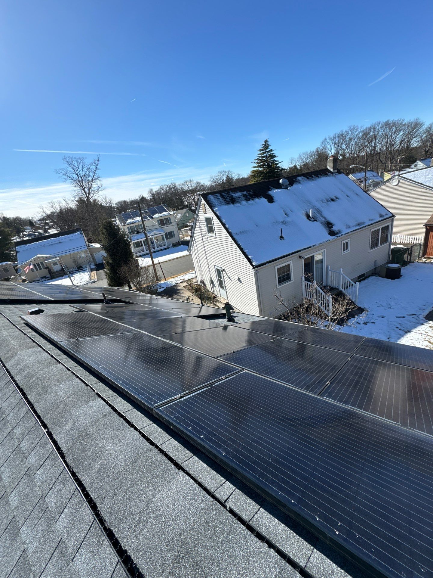 Silver Birch Shingles by Reimagine Roofing
