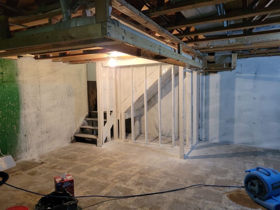 Grossly Contaminated Basement Mold by Chicagoland Water Medics