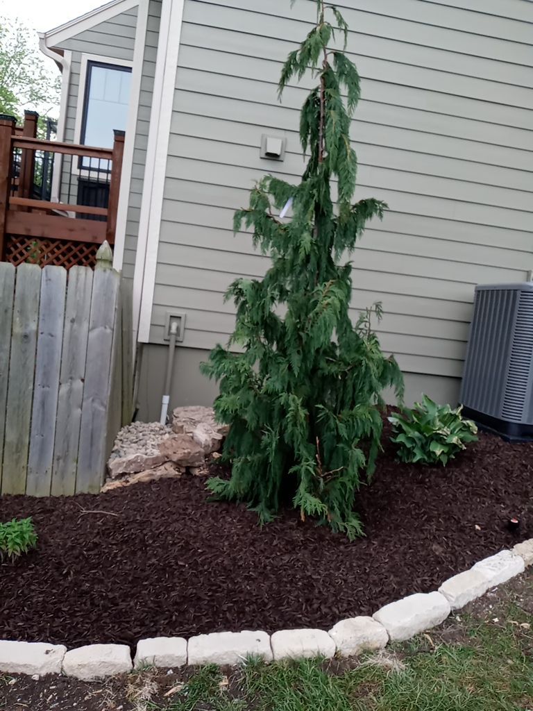 Front Yard Landscape by LAND ESCAPES LLC