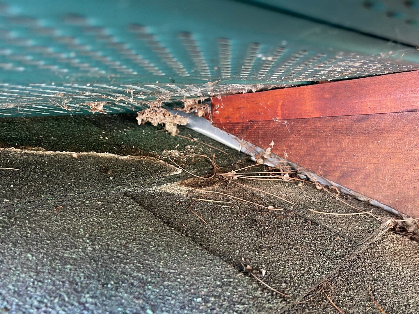  "Leak-Free Living: Expert Shingle Repairs for Lasting Protection!"  by Sensible Home Solutions