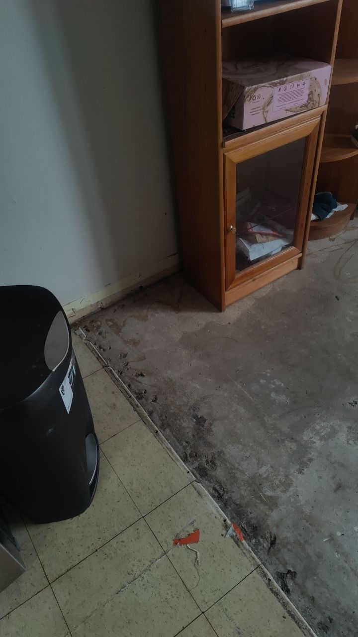 Mold Remediation by Accountable Home Services