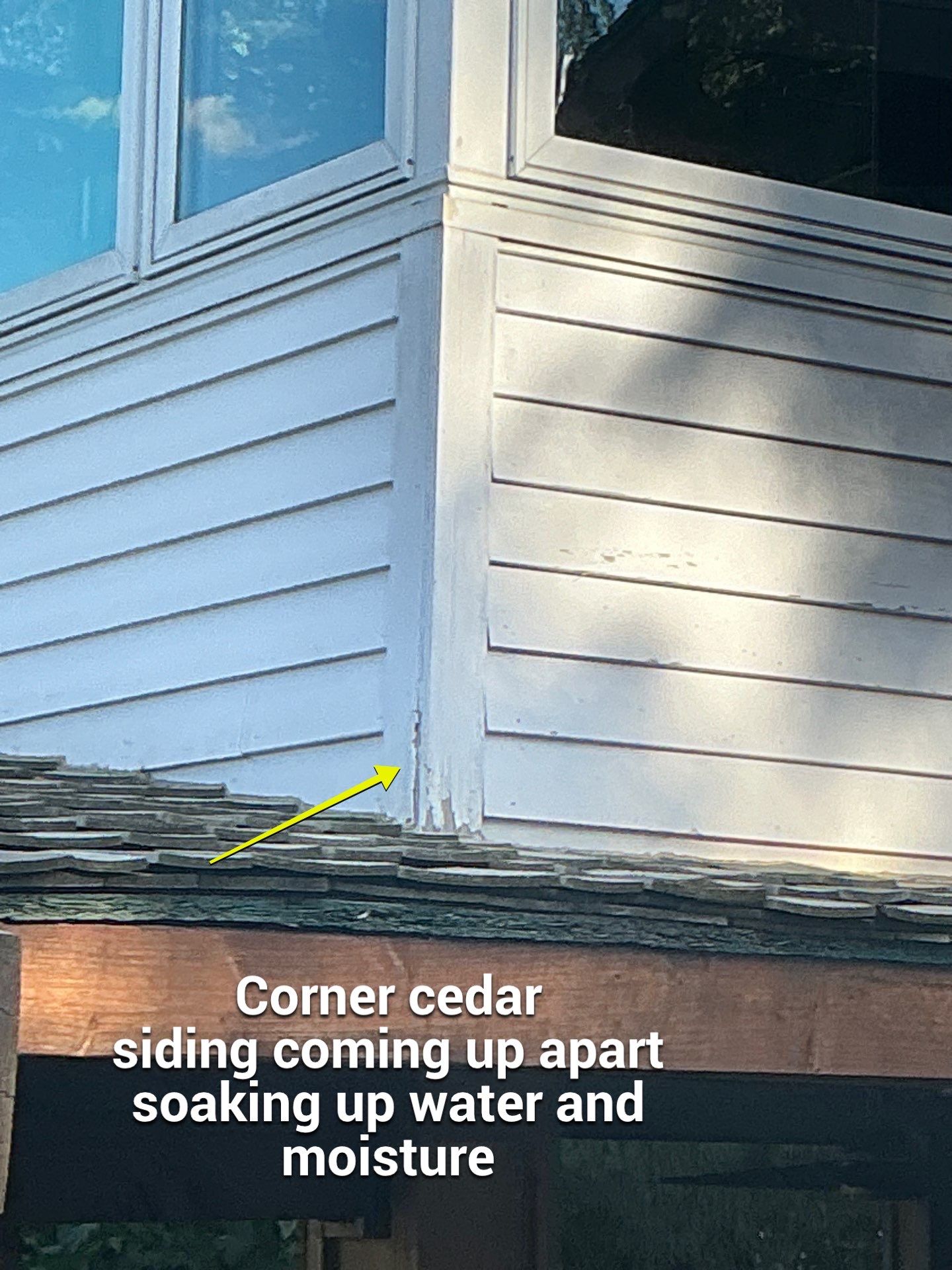 Johanna's Home in Newtown by Window Guardians