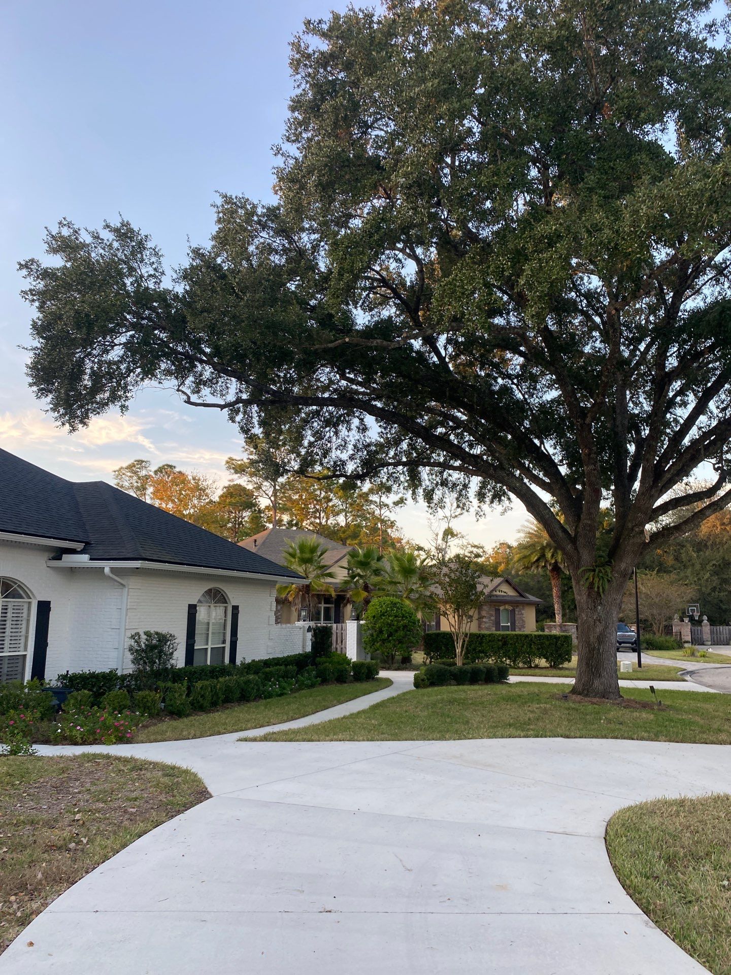 Deerwood Resident | Tree Removal & Shrub Shaping by ProGreen Services