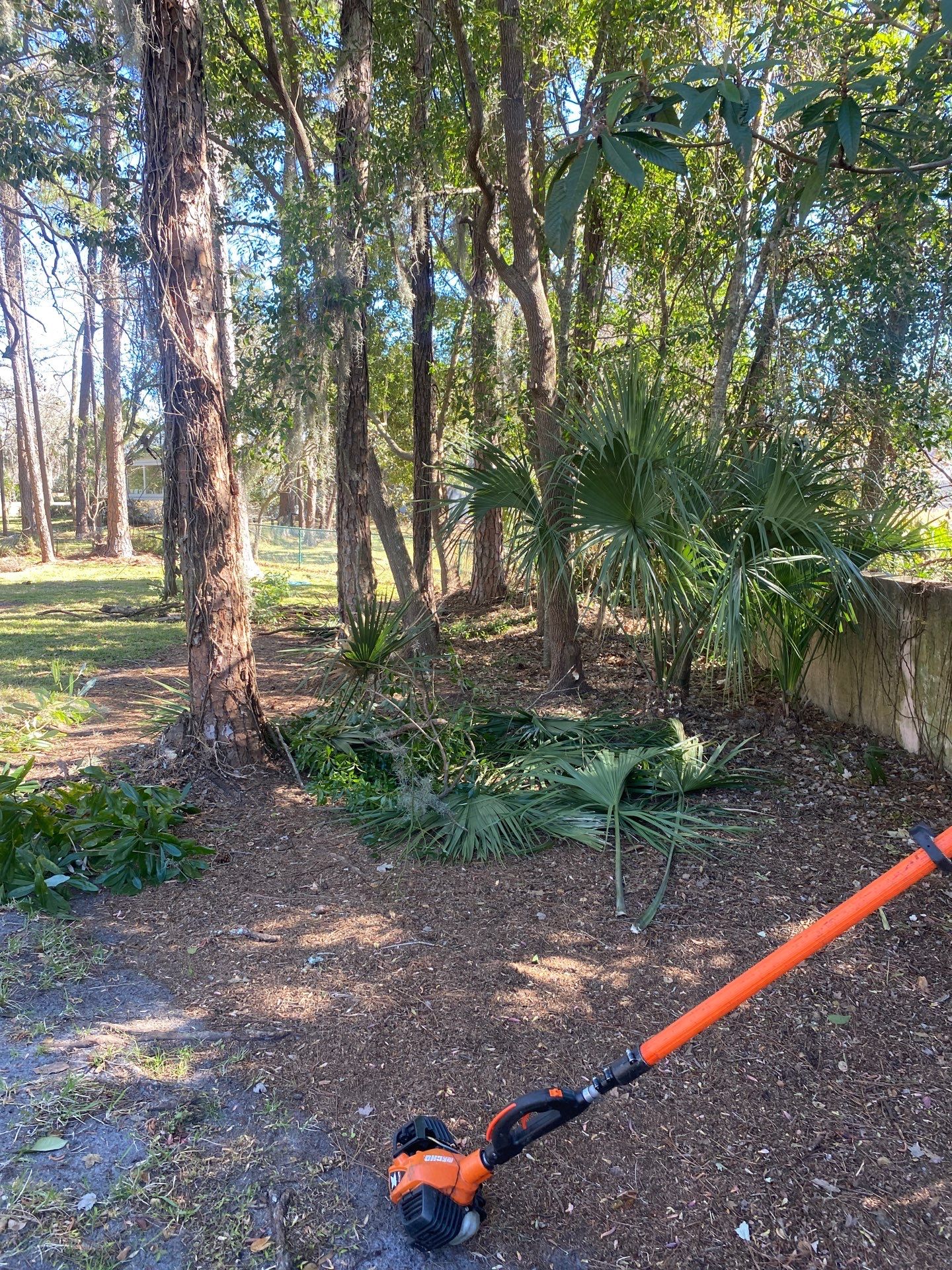 Deerwood Resident | Tree Removal & Clean-Up by ProGreen Services