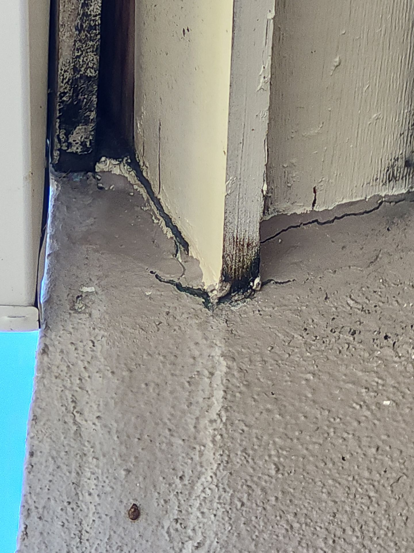 Project in Palm Harbor by Sunbelt Home Solutions