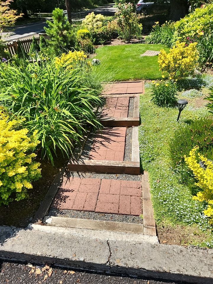 Driveway Repair using Pressure washing no chemicals by Willamette Outdoor Wash LLC