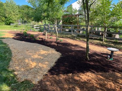 Turning a Back Field into a Landscape of Enjoyment