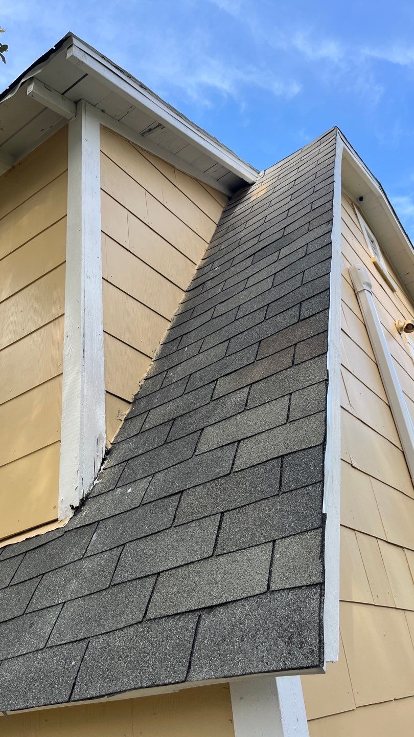 Olive you a Lot! by Bayfront Roofing and Construction