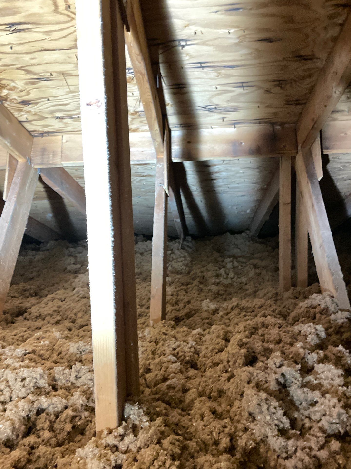 Attic Insulation using Green Fiber Sanctuary by NYS Foam & Energy