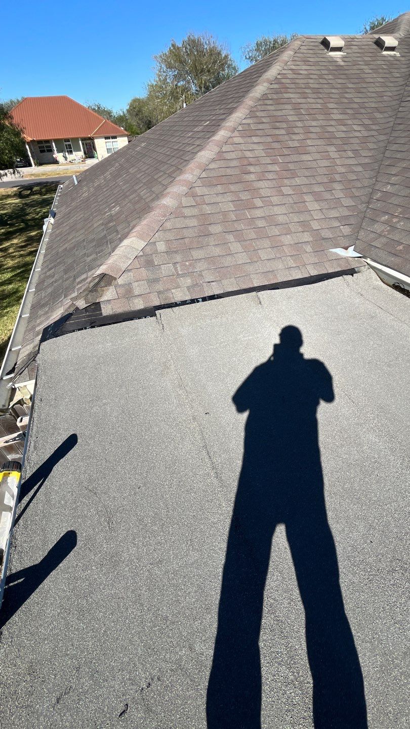 It Ain't Easy getting Shady  by Bayfront Roofing and Construction