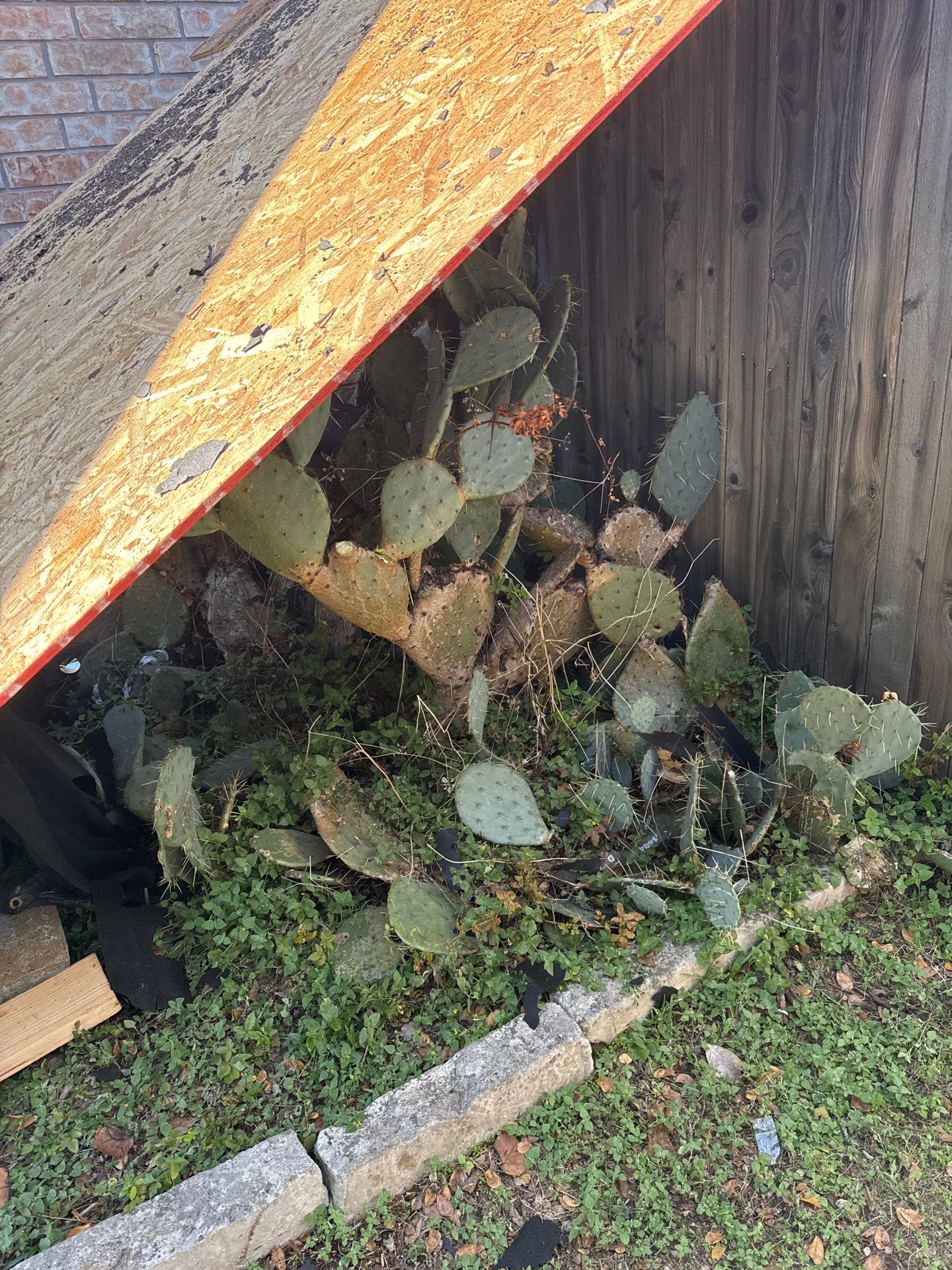 Project in Austin by Rhino Roofing and General Contracting, LLC