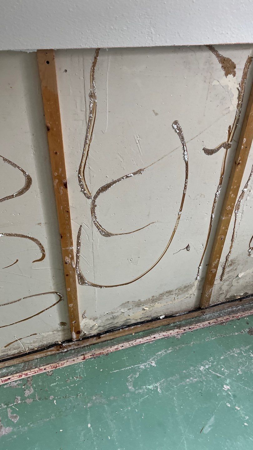 Mold Remediation by Accountable Home Services